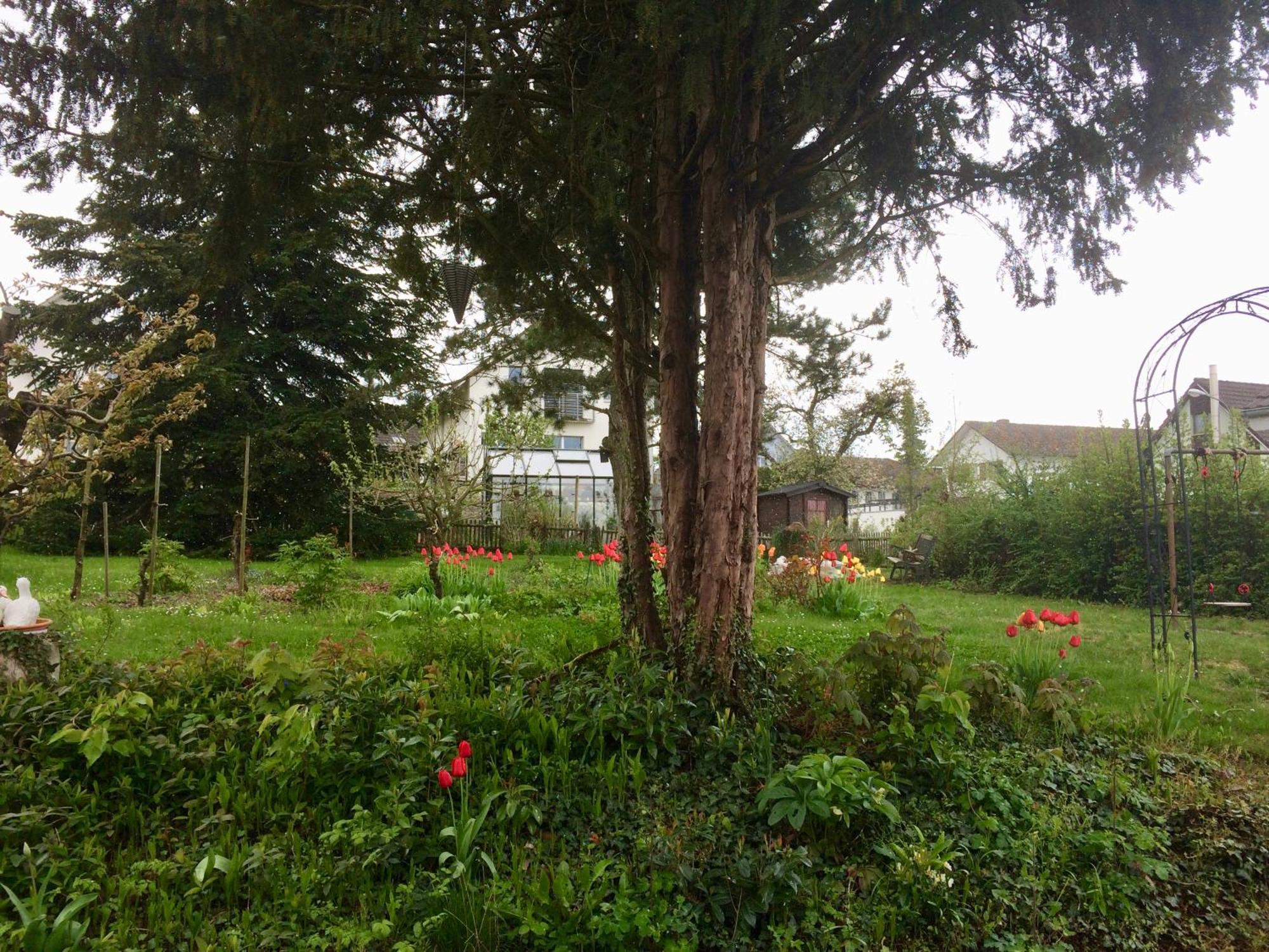Guntli'S Family Guesthouse Andelfingen Dış mekan fotoğraf